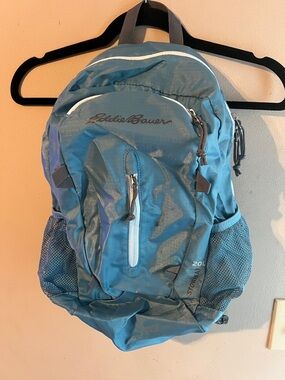 EDDIE BAUER STOWAWAY 20L BACKPACK LIGHT SILVER BLUE BRAND NEW